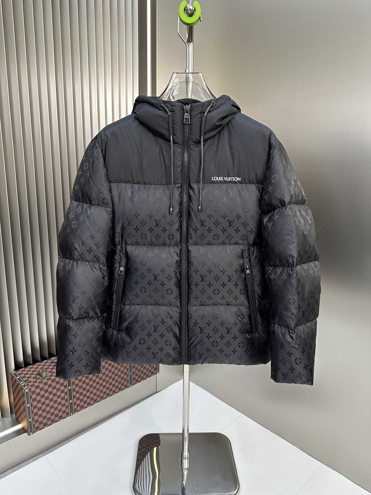 Louis Vuitton Down Jackets